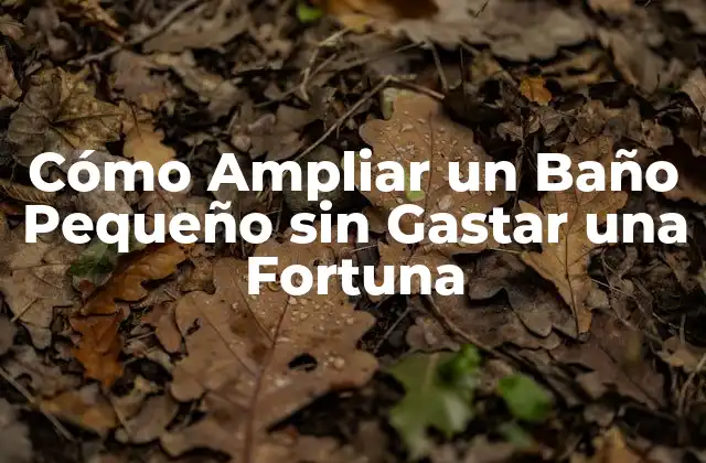 Cómo Ampliar un Baño Pequeño sin Gastar una Fortuna