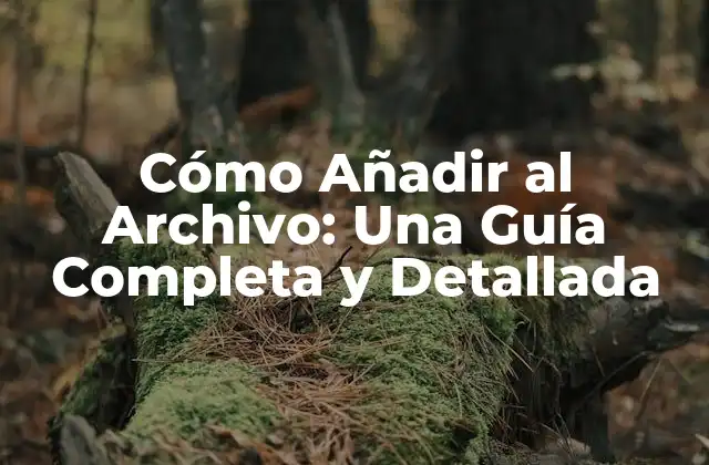 Cómo Añadir Al Archivo: una Guía Completa y Detallada 2 ¿Por qué es Importante Añadir al Archivo?
