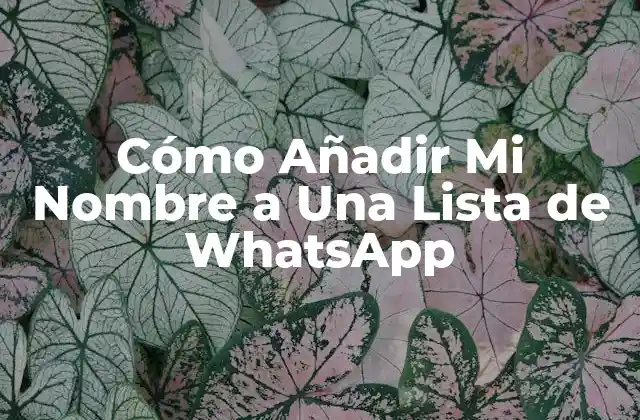 Cómo Añadir Mi Nombre a una Lista de Whatsapp