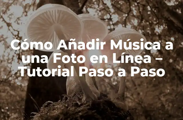 Cómo Añadir Música a una Foto en Línea – Tutorial Paso a Paso