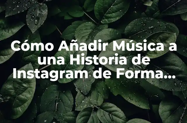 Cómo Añadir Música a una Historia de Instagram de Forma Fácil y Gratuita