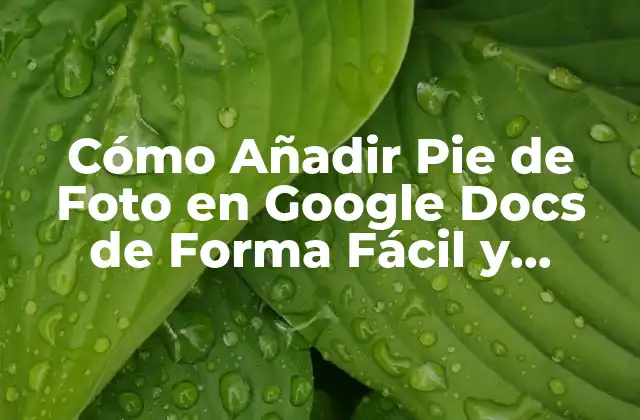 Cómo Añadir Pie de Foto en Google Docs de Forma Fácil y Rápida 2 ¿Por qué son Importantes los Pies de Foto en Google Docs?