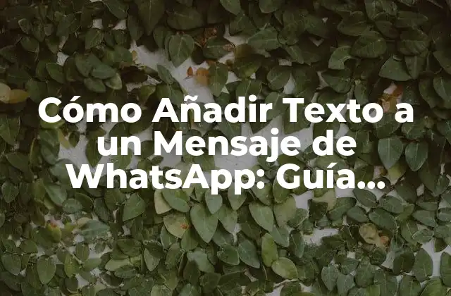 Cómo Añadir Texto a un Mensaje de Whatsapp: Guía Completa