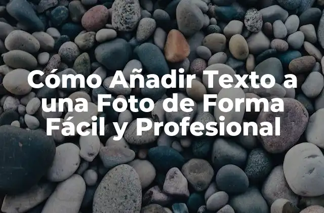Cómo Añadir Texto a una Foto de Forma Fácil y Profesional