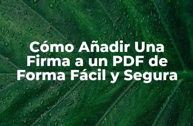 Cómo Añadir una Firma a un Pdf de Forma Fácil y Segura