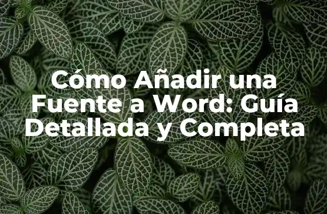 Cómo Añadir una Fuente a Word: Guía Detallada y Completa