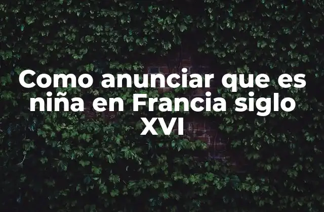 Como Anunciar que es Niña en Francia Siglo Xvi