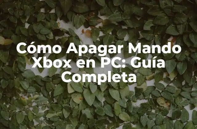 Cómo Apagar Mando Xbox en Pc: Guía Completa