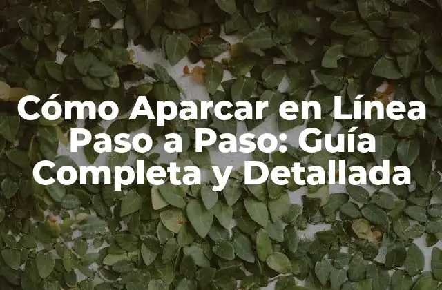 Cómo Aparcar en Línea Paso a Paso: Guía Completa y Detallada