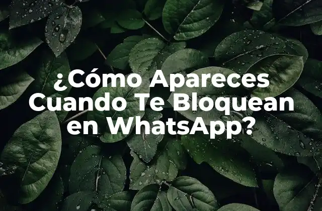 ¿cómo Apareces Cuando Te Bloquean en Whatsapp? 2 ¿Qué Significa Ser Bloqueado en WhatsApp?