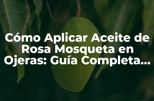 Beneficios del Aceite de Rosa Mosqueta para las Ojeras