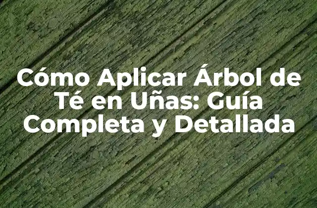 Cómo Aplicar Árbol de Té en Uñas: Guía Completa y Detallada