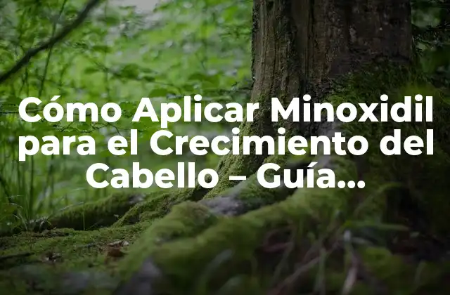 Cómo Aplicar Minoxidil para el Crecimiento Del Cabello – Guía Completa