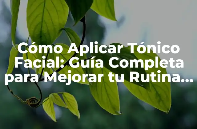 Cómo Aplicar Tónico Facial: Guía Completa para Mejorar Tu Rutina de Cuidado de la Piel