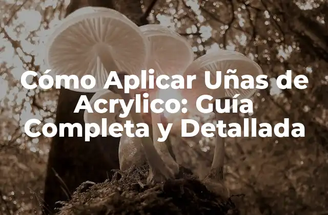 Cómo Aplicar Uñas de Acrylico: Guía Completa y Detallada 2 ¿Qué son las Uñas de Acrylico?