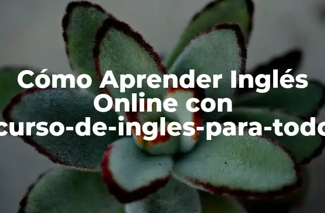 Cómo Aprender Inglés Online con Www.curso-de-ingles-para-todos.com