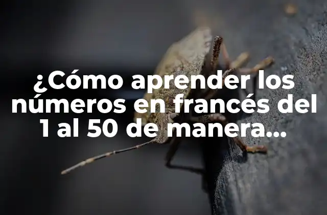 ¿cómo Aprender los Números en Francés Del 1 Al 50 de Manera Efectiva? 2 Los números del 1 al 10 en francés