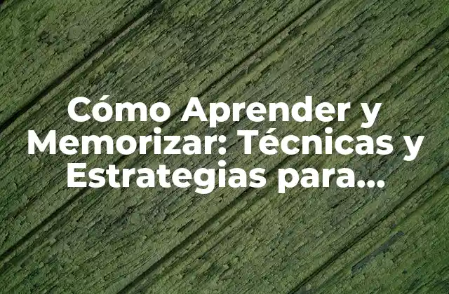 Cómo Aprender y Memorizar: Técnicas y Estrategias para Mejorar Tu Aprendizaje