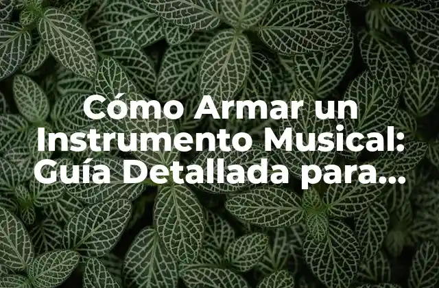 Cómo Armar un Instrumento Musical: Guía Detallada para Principiantes