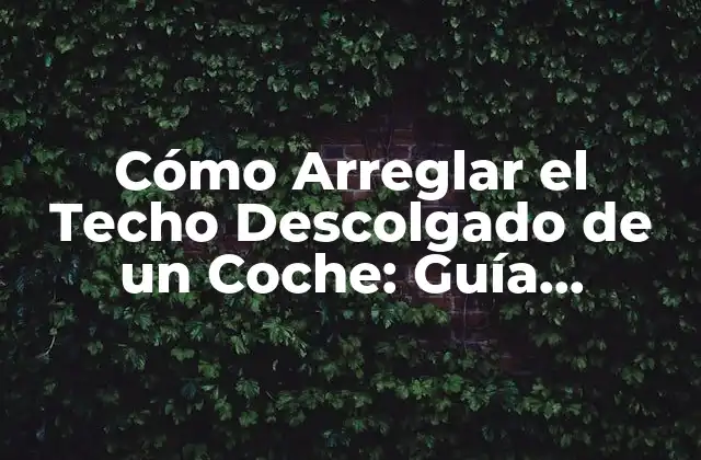 Cómo Arreglar el Techo Descolgado de un Coche: Guía Completa