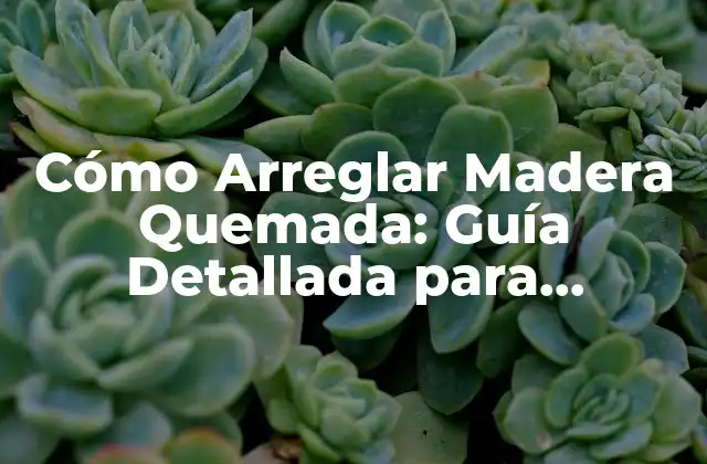Cómo Arreglar Madera Quemada: Guía Detallada para Restaurar Madera Dañada