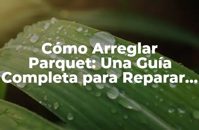Cómo Arreglar Parquet: una Guía Completa para Reparar y Restaurar Suelos de Madera