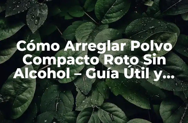 Cómo Arreglar Polvo Compacto Roto sin Alcohol – Guía Útil y Segura
