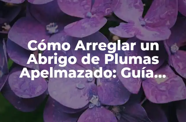 ¿Por qué se Apelmacena un Abrigo de Plumas?