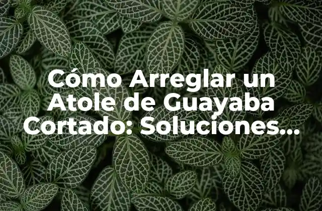 Cómo Arreglar un Atole de Guayaba Cortado: Soluciones Fáciles y Prácticas