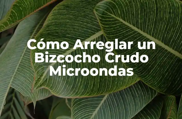 Cómo Arreglar un Bizcocho Crudo Microondas