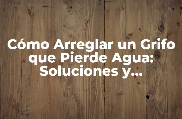 Cómo Arreglar un Grifo que Pierde Agua: Soluciones y Conocimientos 2 Causas Comunes de un Grifo que Pierde Agua
