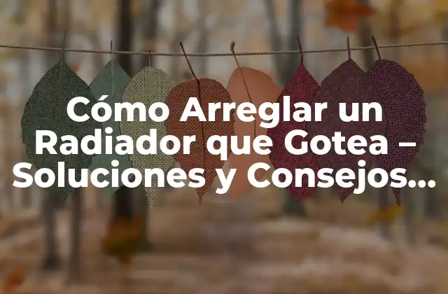 Cómo Arreglar un Radiador que Gotea – Soluciones y Consejos Prácticos