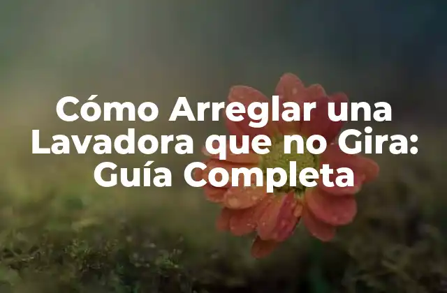 Cómo Arreglar una Lavadora que No Gira: Guía Completa