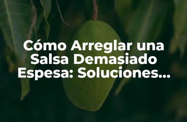 Cómo Arreglar una Salsa Demasiado Espesa: Soluciones Fáciles y Rápidas