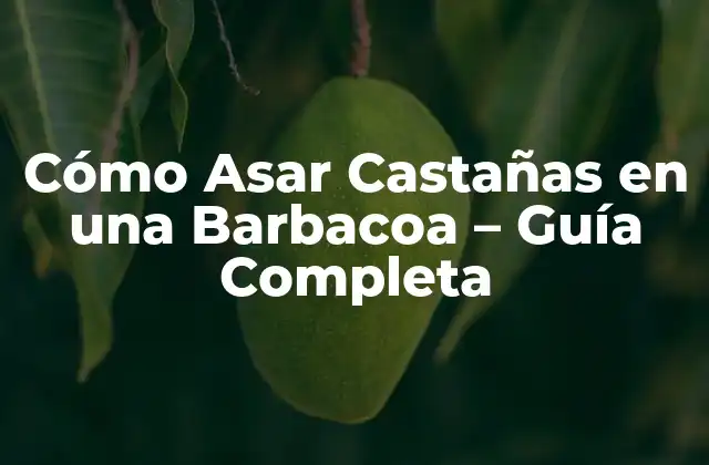 Cómo Asar Castañas en una Barbacoa – Guía Completa