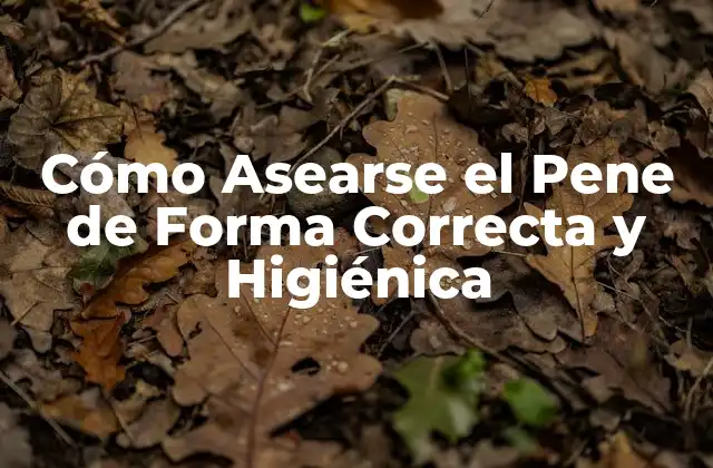 Cómo Asearse el Pene de Forma Correcta y Higiénica