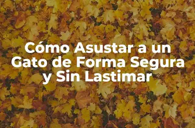 Cómo Asustar a un Gato de Forma Segura y sin Lastimar