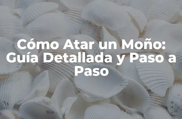 Cómo Atar un Moño: Guía Detallada y Paso a Paso