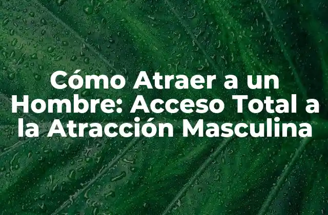 Cómo Atraer a un Hombre: Acceso Total a la Atracción Masculina