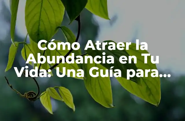 Cómo Atraer la Abundancia en Tu Vida: una Guía para Tener Abundancia