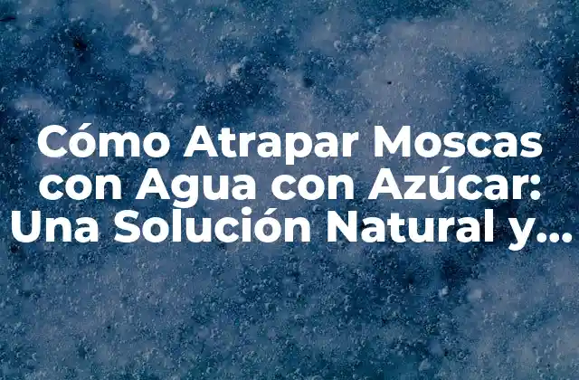Cómo Atrapar Moscas con Agua con Azúcar: una Solución Natural y Efectiva