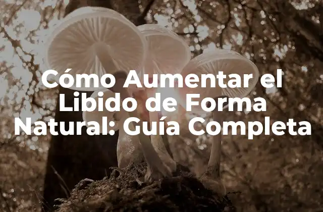 Cómo Aumentar el Libido de Forma Natural: Guía Completa