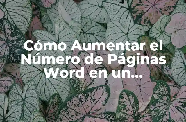 Cómo Aumentar el Número de Páginas Word en un Documento