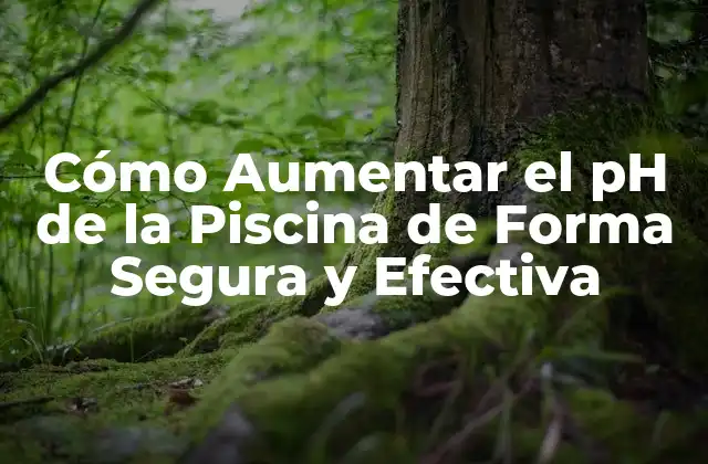 Cómo Aumentar el Ph de la Piscina de Forma Segura y Efectiva