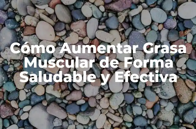 Cómo Aumentar Grasa Muscular de Forma Saludable y Efectiva