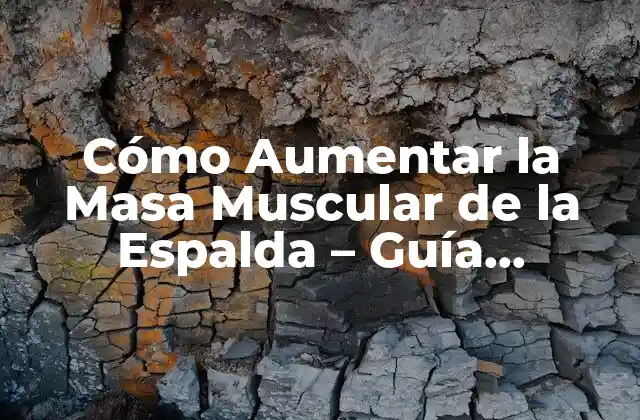 Cómo Aumentar la Masa Muscular de la Espalda – Guía Completa y Efectiva