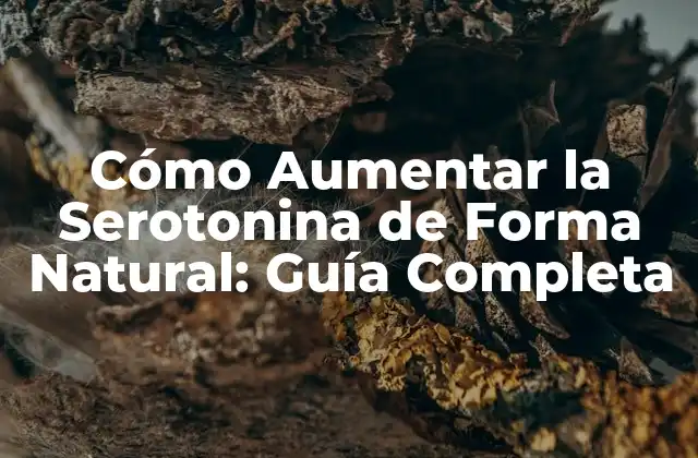 Cómo Aumentar la Serotonina de Forma Natural: Guía Completa 2 ¿Qué es la Serotonina y Cómo Funciona?