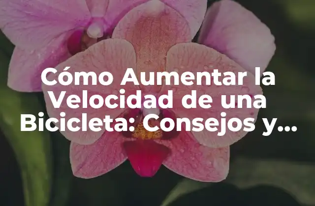 Cómo Aumentar la Velocidad de una Bicicleta: Consejos y Trucos para Ir Más Rápido