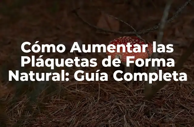 Cómo Aumentar las Pláquetas de Forma Natural: Guía Completa