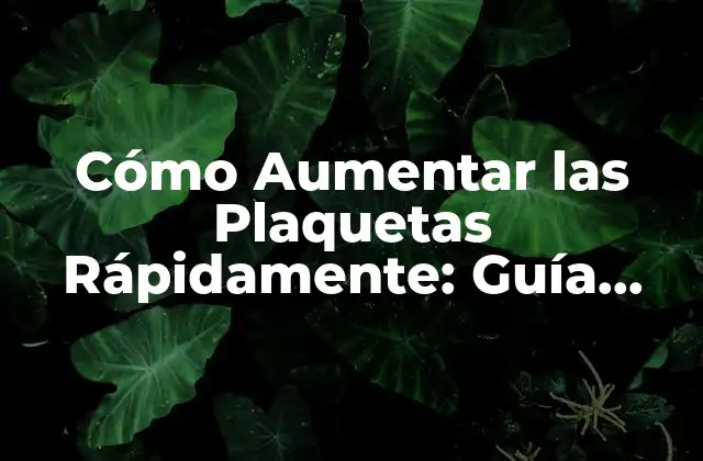 Cómo Aumentar las Plaquetas Rápidamente: Guía Definitiva